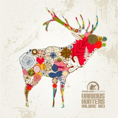 Felix Bernhardt - Flying Feeds