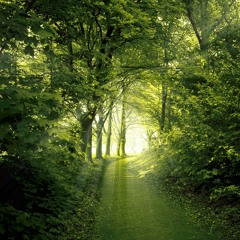 May Be - Yiruma (incomplete)