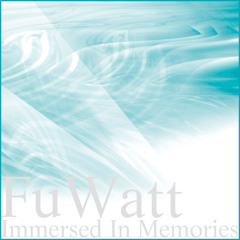 Immersed in memories