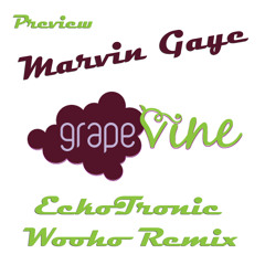 Marvin Gaye - Grapevine (EckoTronic Wooho Remix) Preview