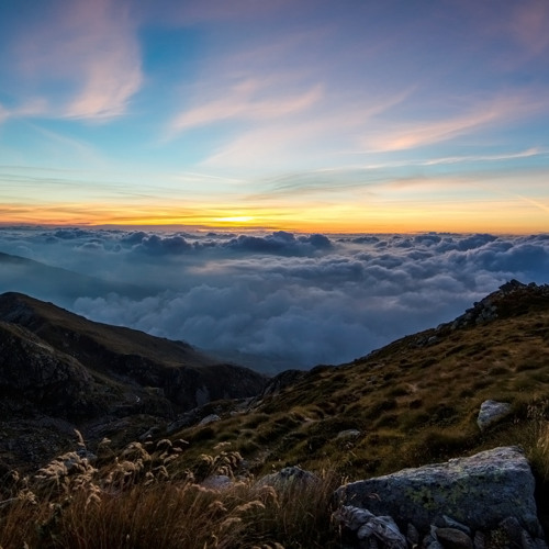 Dawn