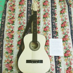 Teardrops On My Guitar Cover