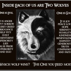 Two Wolves- [Strategy]