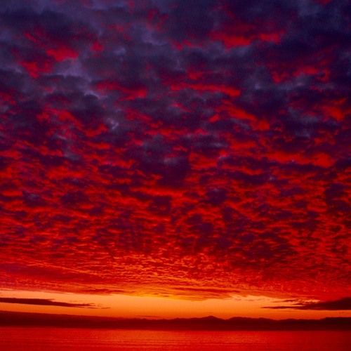 Alston - Red Sky At Night