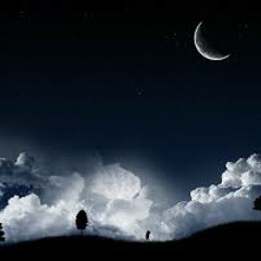 Levelz - enter the night