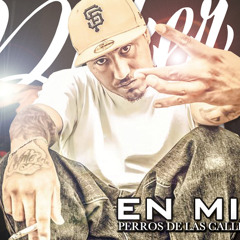 Perros de las calles - En mision FT Diamantone