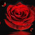 Artwork for Chris De Burgh - The Lady In Red (Cover) The Harmonies Dude