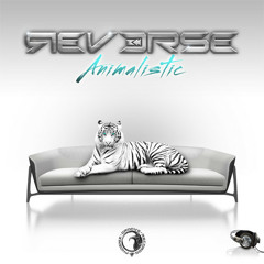 Reverse - Staring Away (Live Edit)