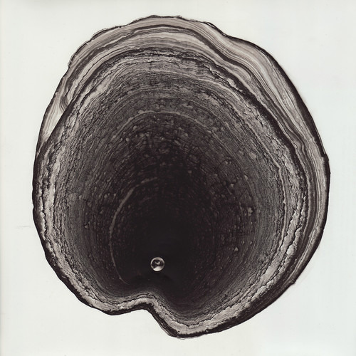 Megafortress - Live in Grace