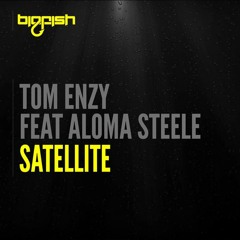Tom Enzy Feat Aloma Steele - Satellite (Original Mix)