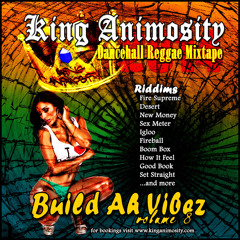 Build A Vibez - Vol. 8 (Mixtape by King Animosity)