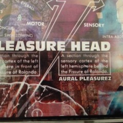 Pleasurehead Aural Pleasurez Side1