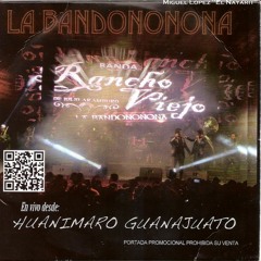 Los Trenes Del Sur,Arriba Mi S