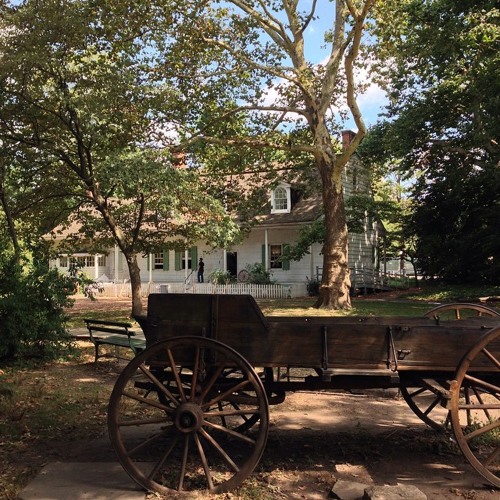 Green, Green Rocky Road