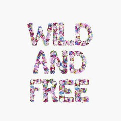 Soulvibe - dilema (cover)