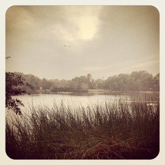 Good Good Things (DESCENDENTS Cover)