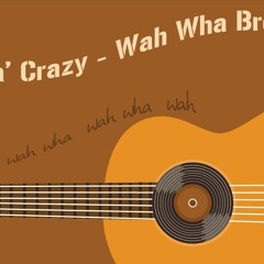 Digga' Crazy - Wah Wha Breaks Mix