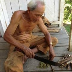 Shamanamazoey Don Pancho