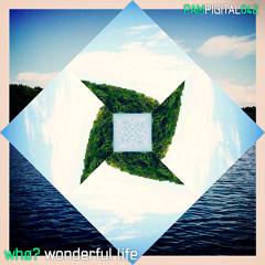 wonderful life