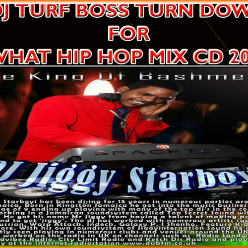 Stream DJ TURF BOSS TURN DOWN FOR WHAT HIP HOP AND RNB MIX CD 2014 by Turf  Boss Jiggystarboyi | Listen online for free on SoundCloud