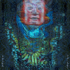 Sal Sagev - Bufo A (Video  link in description)