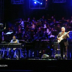 ALLERIA  NERO A META'   VERONA