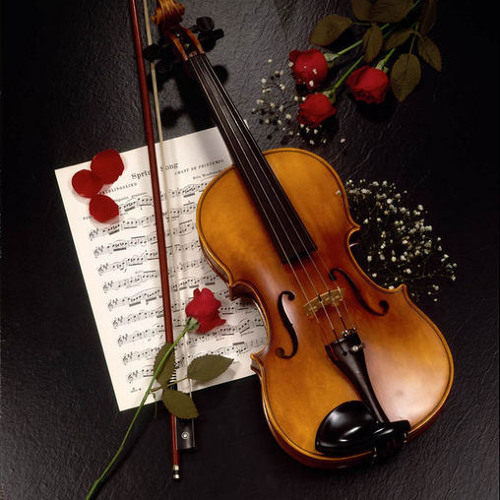 عزف على الكمان حزين جدا Playing The Violin Is A Very Sad By