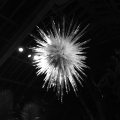 koi - we end up in the stars ft. brandon colao