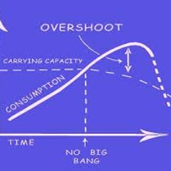 Overshoot