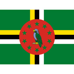 MR. DIZZY- 100% Dominican Strong [Sewo Riddim Bouyon 2014]