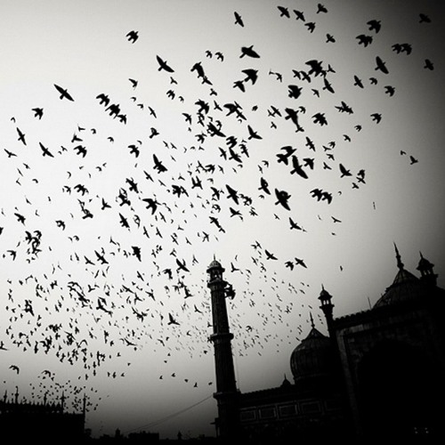 Makcumbelov - هويت الذي يصرخ [Trap]