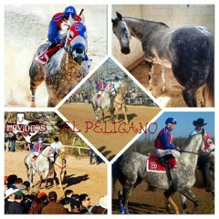 EL PELICANO-OSCAR SOLIS