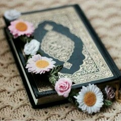 الشيخ صابر صالح
