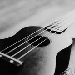 Avare Velours, Mauvais Coton - MAQUETTE