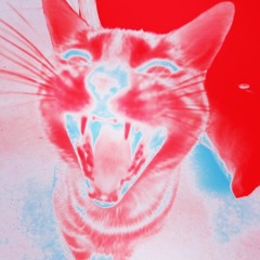 Look Back -Prism Native [FREE DOWNLOAD]