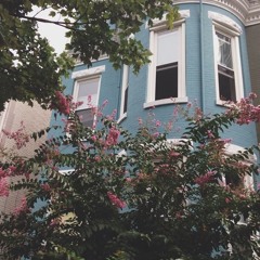 The Dreamer by Ellie Brown