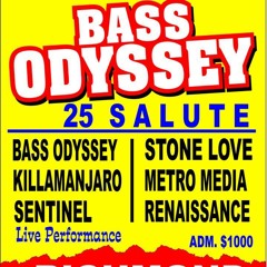STONE LOVE AT BASS ODYSSEY 25TH ANNIVERSARY 2014