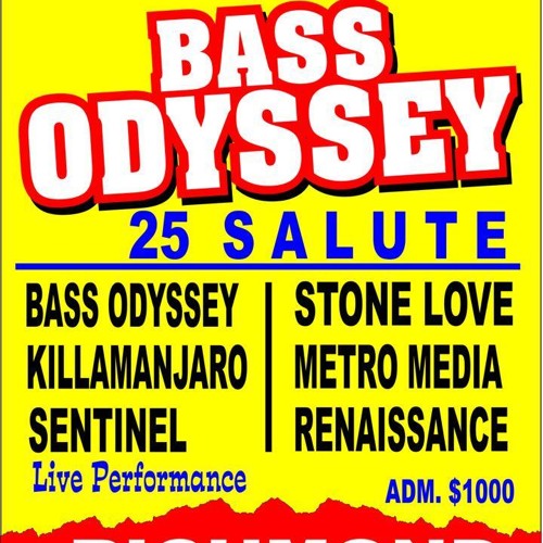 STONE LOVE AT BASS ODYSSEY 25TH ANNIVERSARY 2014