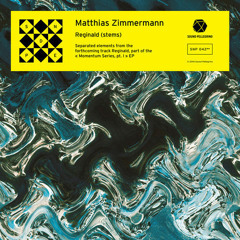 Matthias Zimmermann - Reginald (She Teiks Remix)