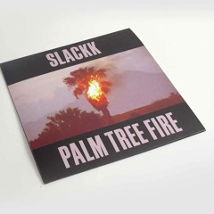 Slackk — Ancient Dolphin [from LOCLP004, Palm Tree Fire]