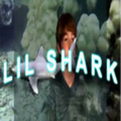 Lil Shark - Yah Hoe (prod. EndyEnds)