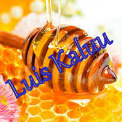 HONEY by Luis Kaluu