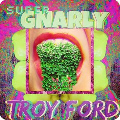 Troy Ford