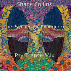 The Psychedelic Experience (Psy Trance Mix 2014)