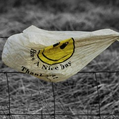 Pobedia - untitled (live)