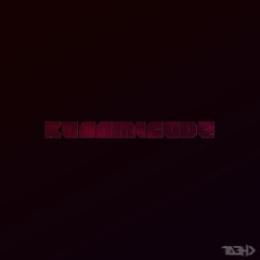 konamicode - kidrock