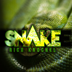 Rich Knochel - Snake (Original Mix)