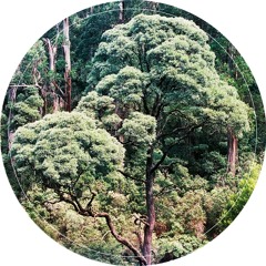 [AAR001] Albrecht La'Brooy - Louis'