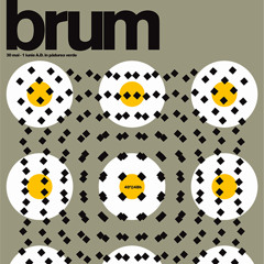 Two Wings by Brum - Live @ 48h, Timisoara