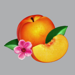 Phoenix – Trying To Be Cool (Miron remix)